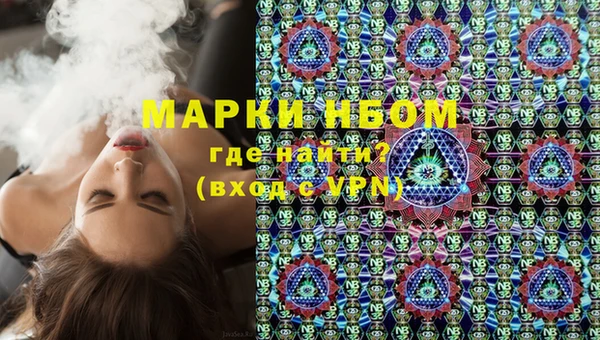 хмурый Арсеньев