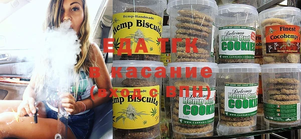 хмурый Арсеньев