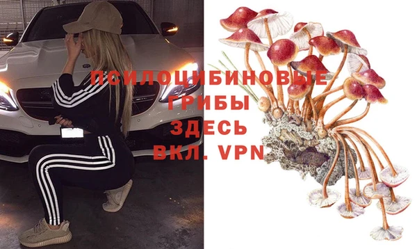 хмурый Арсеньев