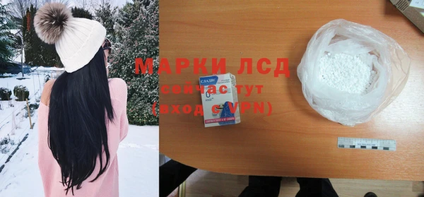 шишки Аркадак