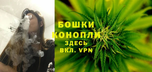 шишки Аркадак