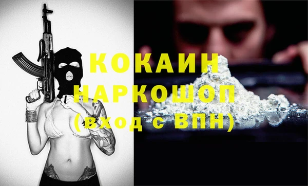 шишки Аркадак